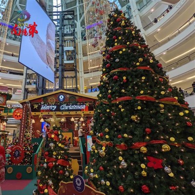 Divovska božićna drvca